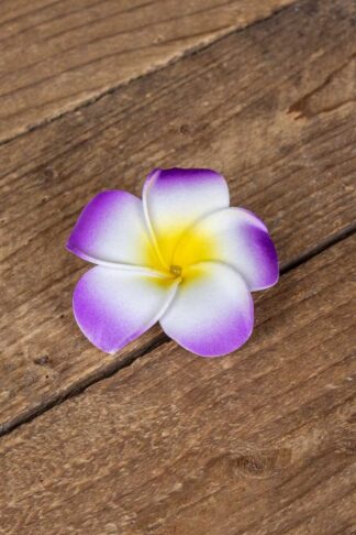 Haarspange Plumeria Hawaii Blüte, lila