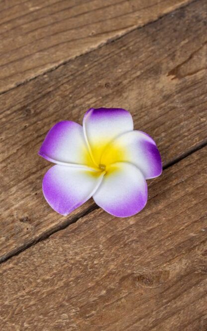 Haarspange Plumeria Hawaii Blüte, lila