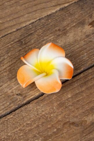 Haarspange Plumeria Hawaii Blüte, orange