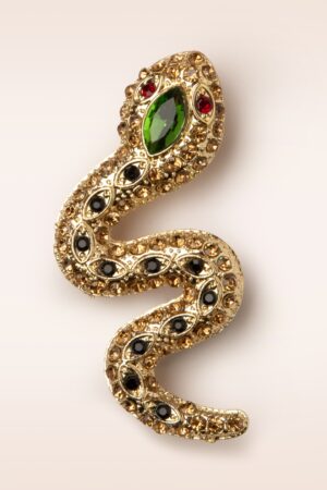 Sparkly Snake Brosche in Multi