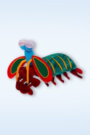 Peacock Mantis Shrimp Brosche